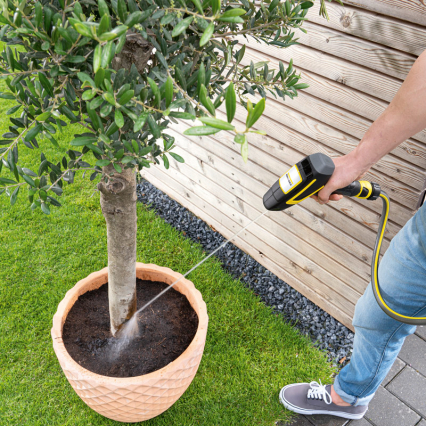 Напорный садовый распылитель Karcher WBS 3